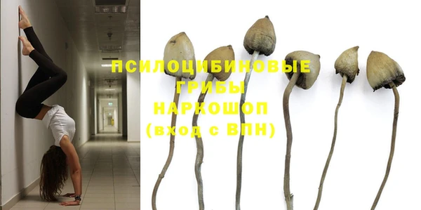 первитин Заводоуковск