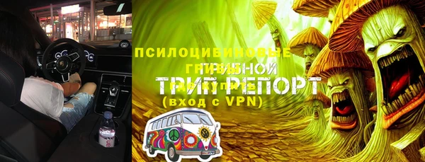 первитин Заводоуковск