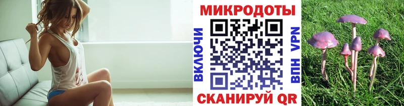 дарнет шоп  Сибай  Псилоцибиновые грибы Psilocybine cubensis 
